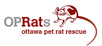 Ottawa Pet Rat Rescue