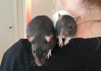 Matilde & Winnie